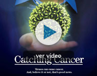 "C&aacute;ncer contagioso"