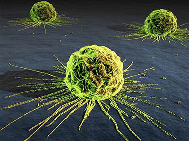 Informe Semanal - C&aacute;ncer, f&aacute;rmacos a la carta