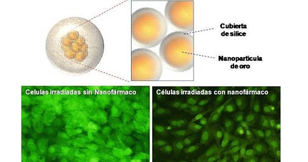 El nuevo tratamiento está compuesto por nanopartículas de oro protegidas por una cubierta de sílice en cuyo interior se incorporan moléculas de un fármaco antitumoral El nuevo tratamiento está compuesto por nanopartículas de oro protegidas por una cubierta de sílice en cuyo interior se incorporan moléculas de un fármaco antitumoral