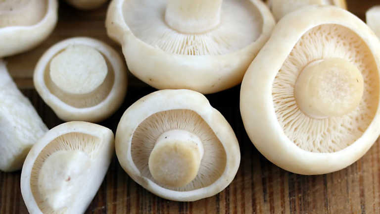 Fabricando Made in Spain - Cap&iacute;tulo 21