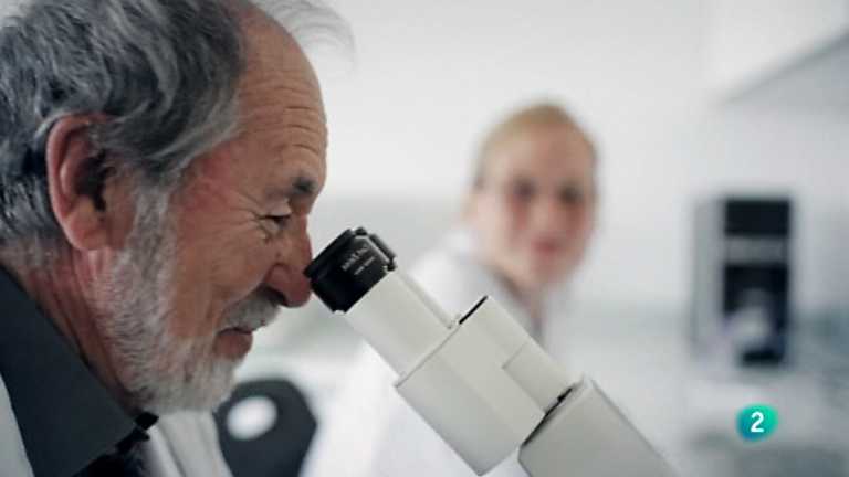 Talento 100 - Cap&iacute;tulo 4