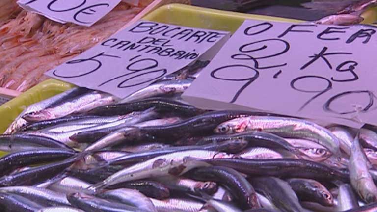 Las capturas de anchoas han ca&iacute;do un 5% respecto al a&ntilde;o pasado