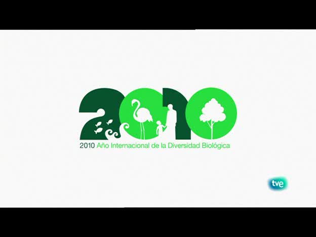 Biodiario - El caracol chapa