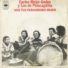 Carlos Mej&iacute;a Godoy y Los de Palacag&uuml;ina