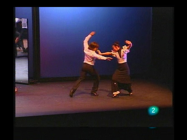 Recomanaci&oacute;: "Flamenco hoy"