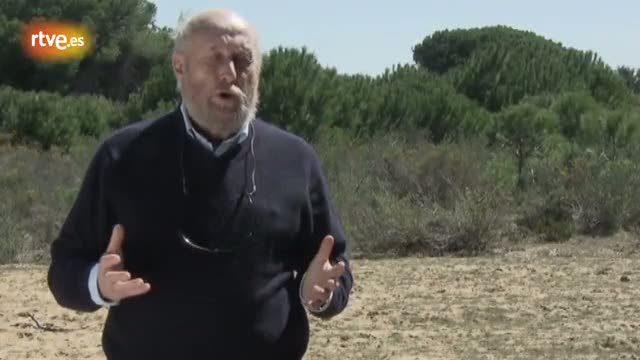 &iquest;Sale cara la conservaci&oacute;n del lince en Do&ntilde;ana?