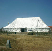 Carpa medieval