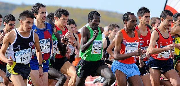 Carrera masculina del &uacute;ltimo cross internacional disputado en Atapuerca, Burgos, el pasado 13 de noviembre.