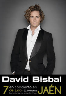 Cartel del concierto de David Bisbal en Ja&eacute;n