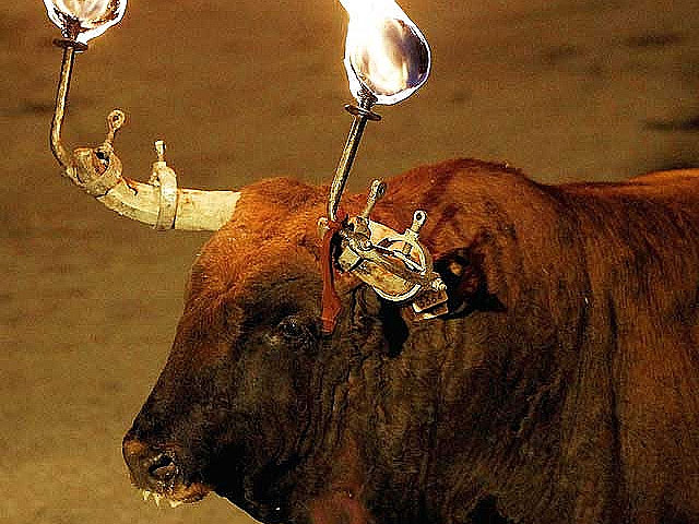 Catalu&ntilde;a blindar&aacute; los correbous tras prohibir los toros