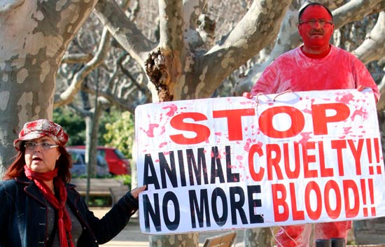El parlamento catal&aacute;n escucha a los &uacute;ltimos expertos convocados sobre los toros