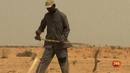 Ir al Video&nbsp;Cat&aacute;strofe de enormes proporciones en el Sahel africano por la sequ&iacute;a y las guerras internas