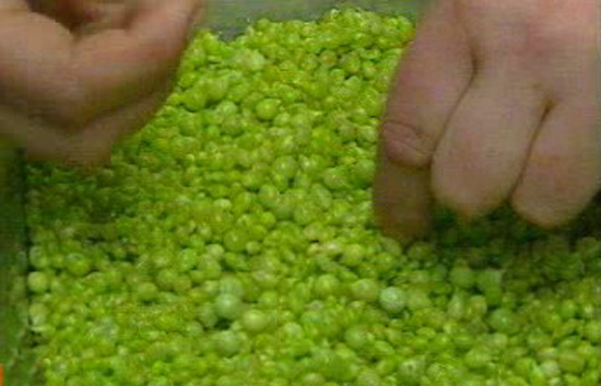 Espa&ntilde;a Directo - El caviar de la huerta