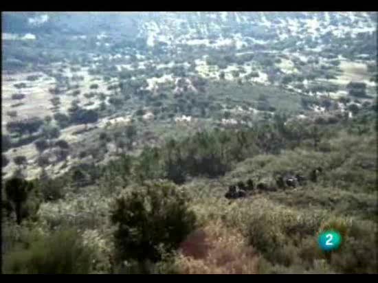 El hombre y la tierra - La caza del jabal&iacute;