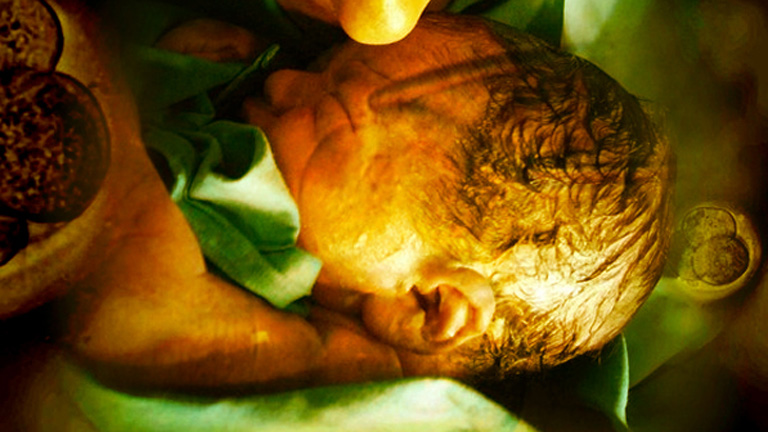 La Noche Tem&aacute;tica - C&eacute;lulas madre, una nueva esperanza - Avance