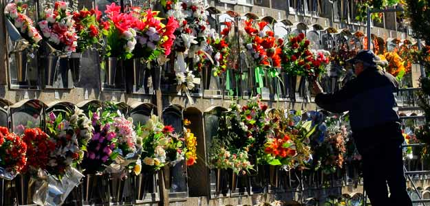 A man arranges flowers in a cemetery with solar panels in Santa Caloma de Gramenet near Barcelona