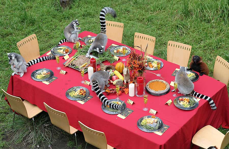 Cena de Acción de Gracias