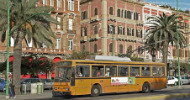 Cerde&ntilde;a