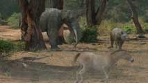 Ir al Video&nbsp;El Cerro de los Batallones, un yacimiento &uacute;nico para la paleontolog&iacute;a