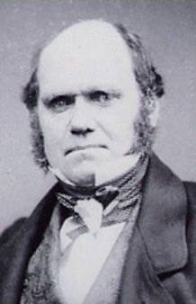 Charles Darwin en 1854 Charles Darwin en 1854