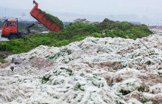 China lucha contra la contaminaci�n