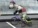 Imagen del  v&iacute;deo de Berni titulado CICLISMO