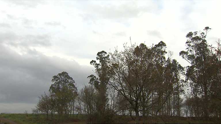 Cielos nubosos y precipitaciones en la mitad occidental de la Pen&iacute;nsula 