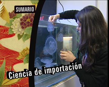 Babel en TVE - Reportaje: ciencia de importaci&oacute;n