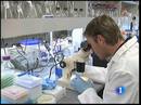 Ir al Video&nbsp;Cient&iacute;ficos estadounidenses consiguen dar vida a una c&eacute;lula con material gen&eacute;tico artificial
