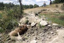 Un ciervo muerto en el término municipal de Cernadilla (Zamora) en la Sierra de la Culebra Un ciervo muerto en el término municipal de Cernadilla (Zamora) en la Sierra de la Culebra