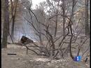Ir al Video&nbsp;Cinco personas est&aacute;n detenidas por su presunta vinculaci&oacute;n con el incendio de Falces, en Navarra