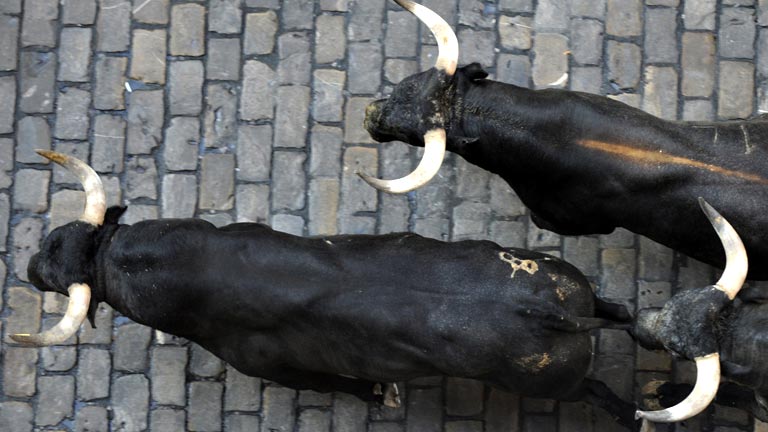 Cinco toros juntos enfilan la calle Estafeta