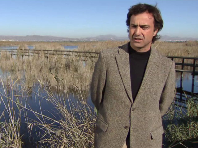 Cr&oacute;nicas - Escasez y mala calidad del agua, claves en la situaci&oacute;n cr&iacute;tica de 'El Hondo'