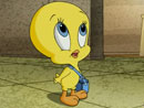 Imagen del  v&iacute;deo de Baby Looney Tunes en ingl&eacute;s titulado Clues encounters of the Tweety kind