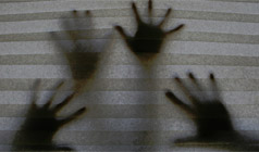 &iexcl;Colabora con nosotros!