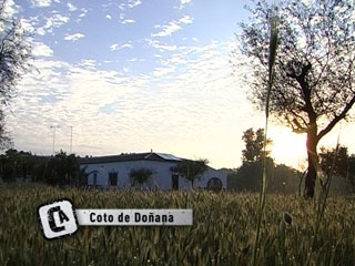 Ver v&iacute;deo  'Comando Actualidad - Viviendo en Do&ntilde;ana'
