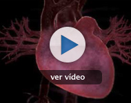 Cómo fabricar un corazón Cómo fabricar un corazón