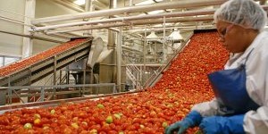 C&oacute;mo se fabrican lavavajillas, tomate frito y motocicletas