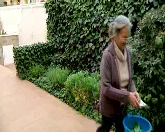 El escarabajo verde - Compost hecho de compostage