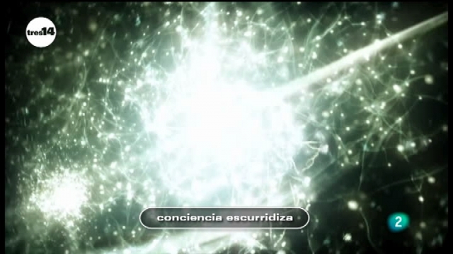 tres14 - conciencia