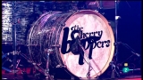 Video: Los conciertos de Radio 3 - The Cherry Boppers