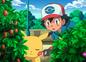 Imagen del  v&iacute;deo de Pok&eacute;mon Negro y Blanco titulado &iexcl;CONFLICTO ENTRE SIBARITAS!