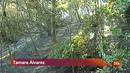 Ir al Video&nbsp;Contin&uacute;a activo bajo tierra el incendio de La Gomera