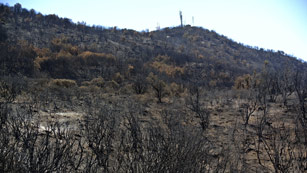 Ver v&iacute;deo  'Contin&uacute;a activo bajo tierra el incendio de La Gomera'