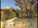 Ir al Video&nbsp;Controlados los incendios de la Comunidad Valenciana