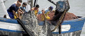 Convenio de trabajo mar&iacute;timo