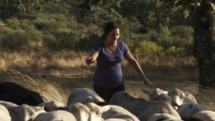 Ver v&iacute;deo  'Convive - Blanca intenta demostrar que pastorear las ovejas es f&aacute;cil'