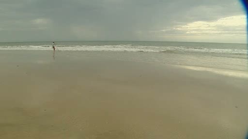 El escarabajo verde - Coquineros en las playas de Do&ntilde;ana