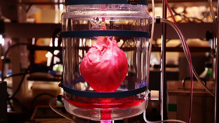 La Noche Tem&aacute;tica - El coraz&oacute;n autosuficiente - Avance