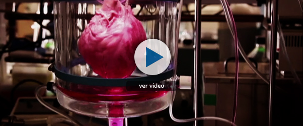 "El coraz&oacute;n autosuficiente"